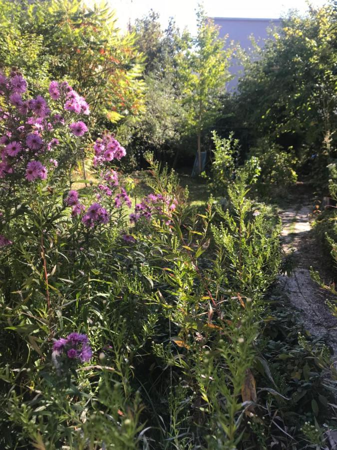 Un Jardin Dans La Ville Chalons en Champagne Exterior photo